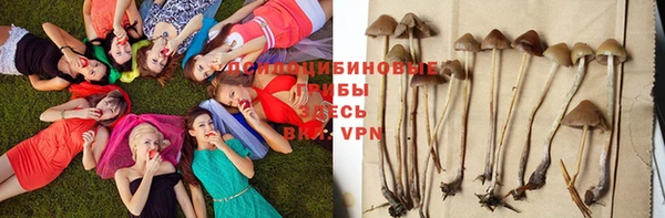 амф Абинск
