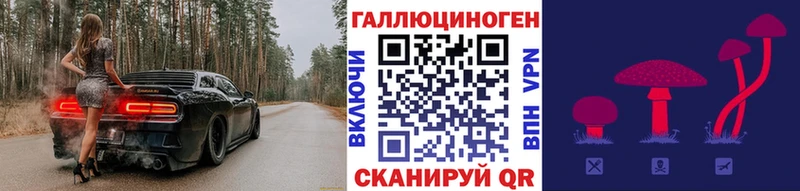 MEGA ONION  Ак-Довурак  Псилоцибиновые грибы мухоморы 